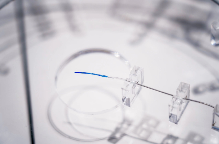 博天堂(918)官方网站 - 博采航母即刻起航！